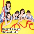 清水麻璃亜の所属するHoney Harmonyメンバープロデュースのハンバーグの販売が決定!!